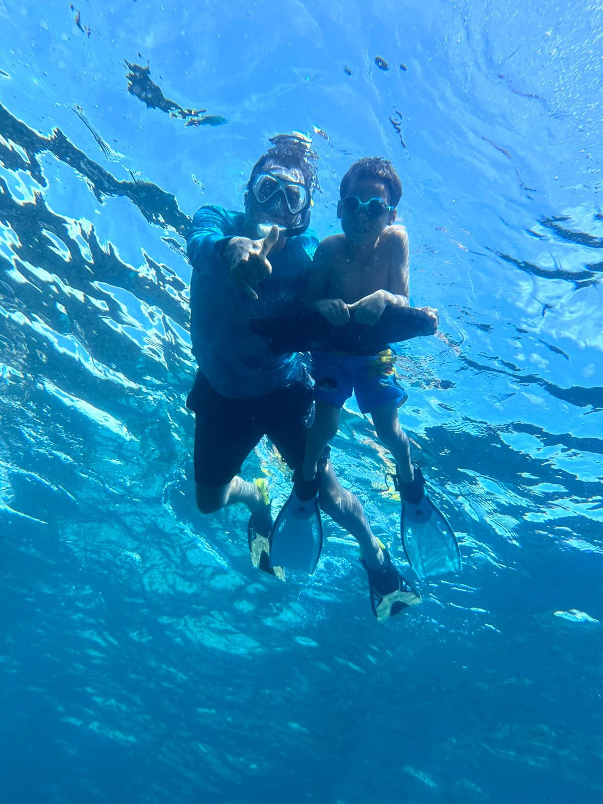 Sea Turtle Snorkeling Tour