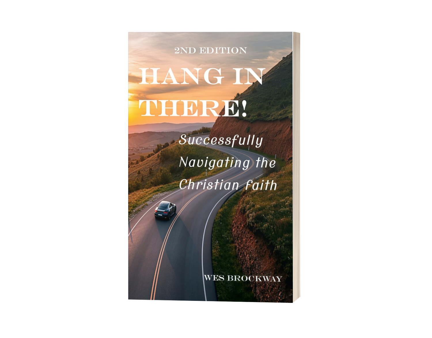 Hang in There - Paperback