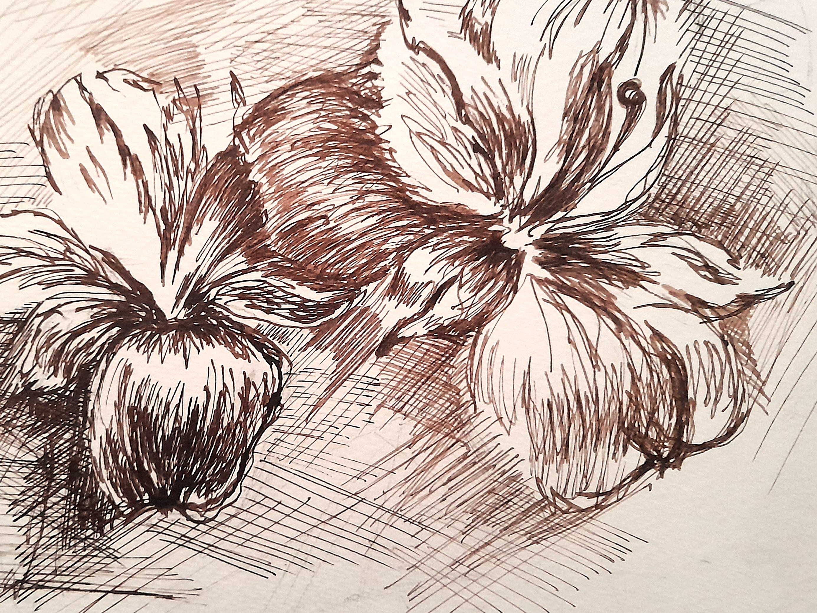 Creative course session