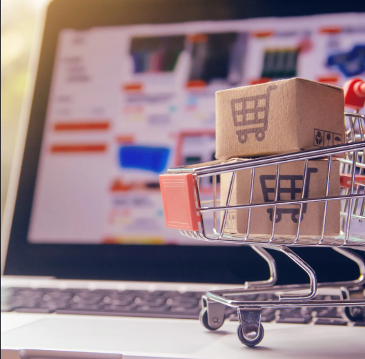 E-commerce Website Development