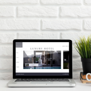 Basic Business Website Development