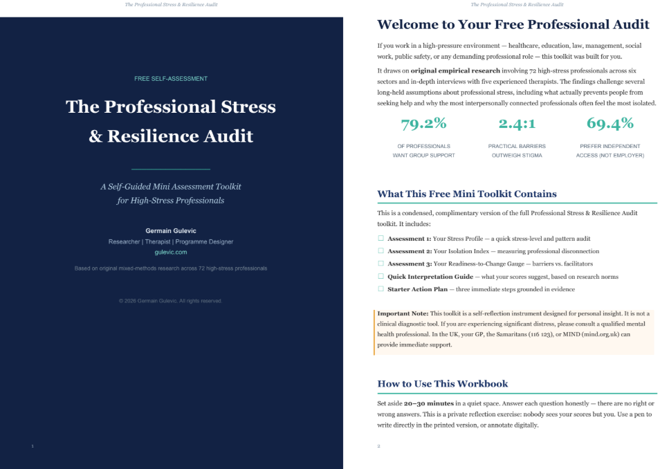 The Professional Stress  & Resilience Audit