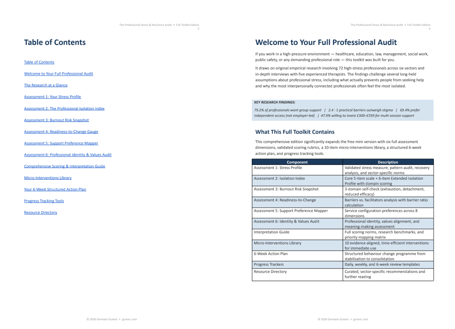 The Professional Stress & Resilience Audit: A Self-Guided Assessment Toolkit