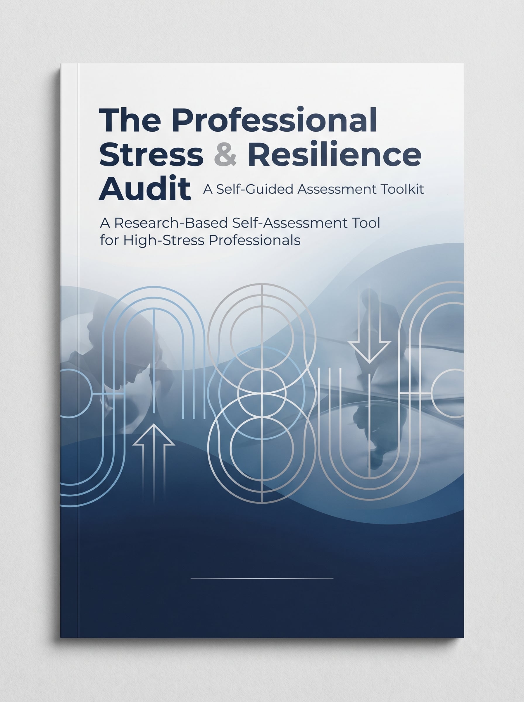 The Professional Stress & Resilience Audit: A Self-Guided Assessment Toolkit