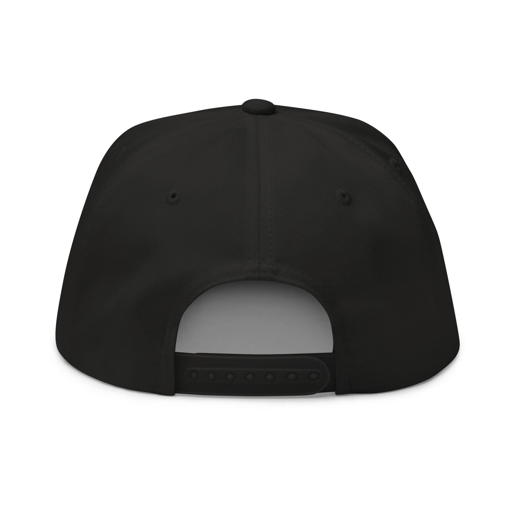 Baseline BP Signature Snapback