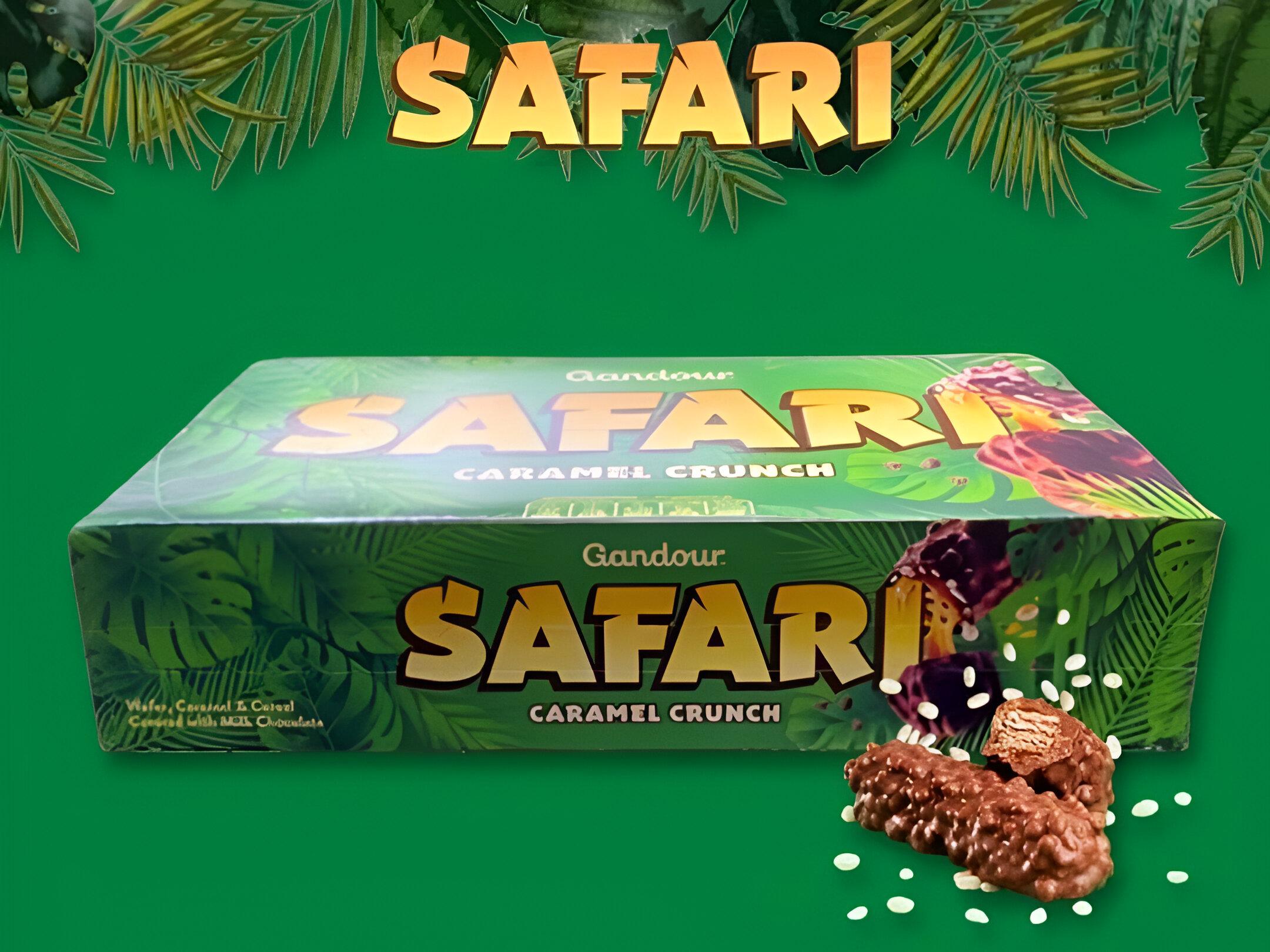 Safari Chocolates Box
