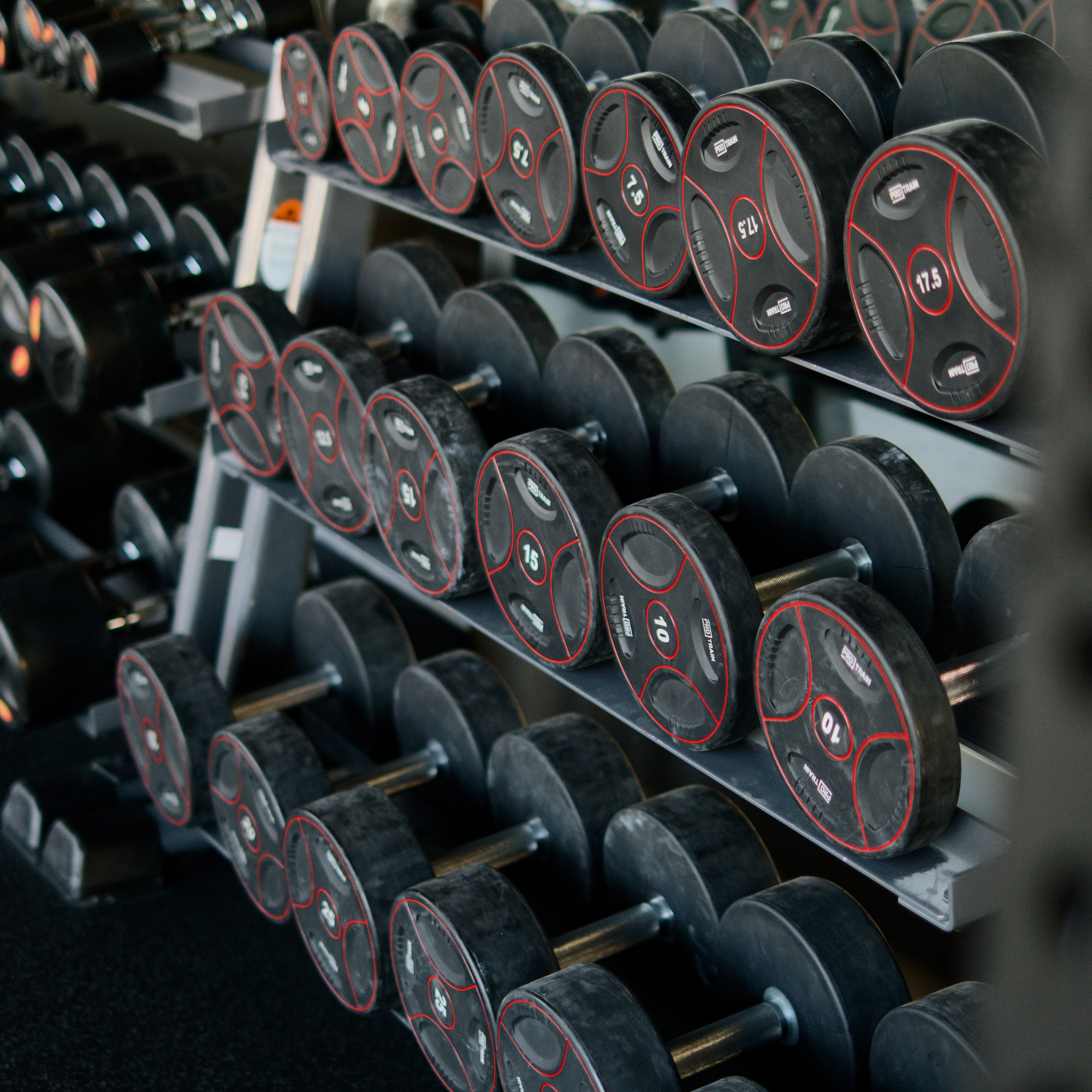 Muscle Building Plan