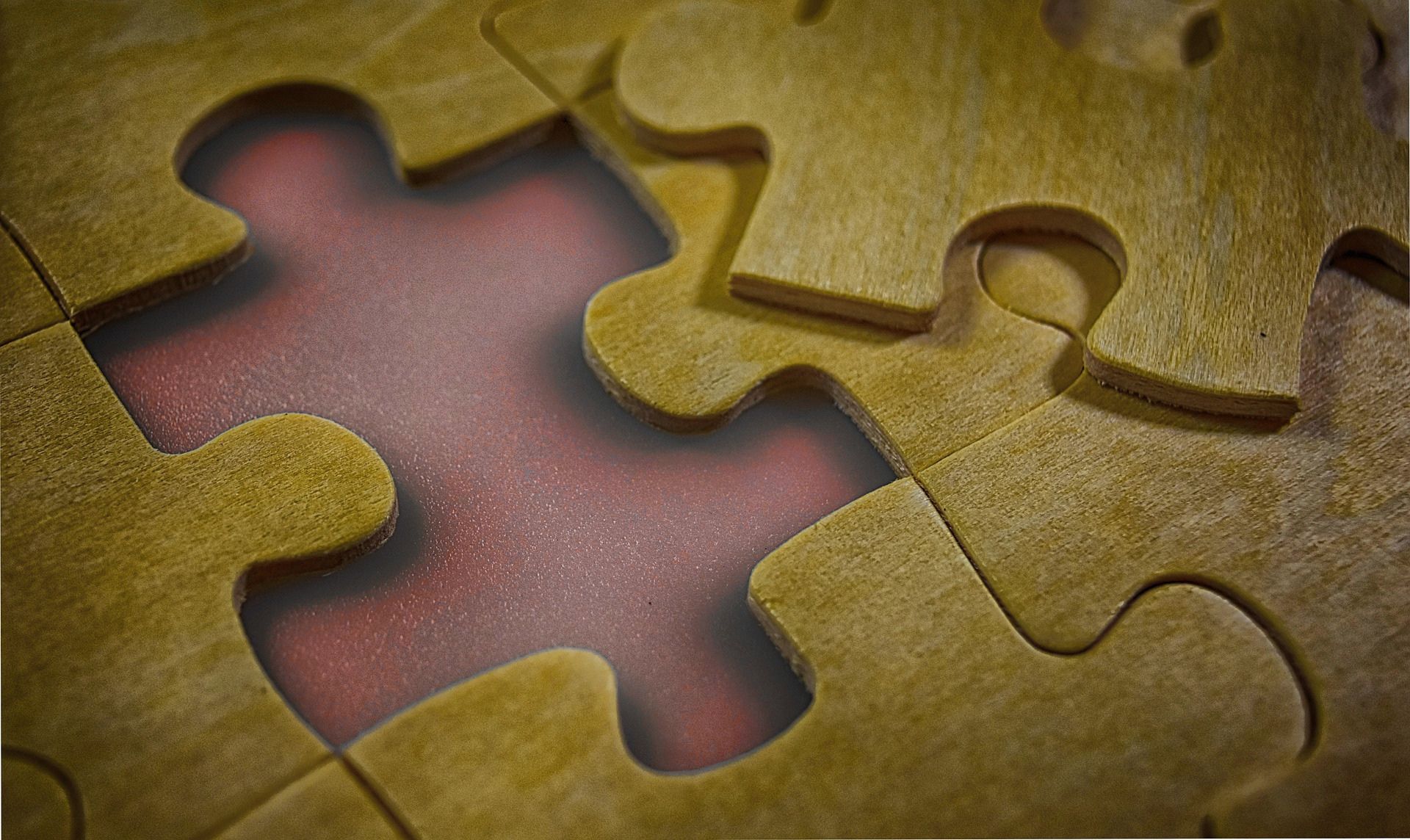 !!ACOMPAÑAMIENTO ON-LINE!! (PASO A PASO) 