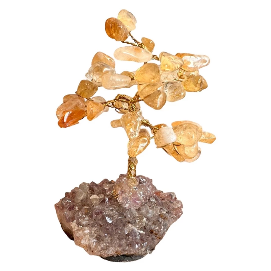 Árvore Pedra Citrino, Base Drusa De Ametista