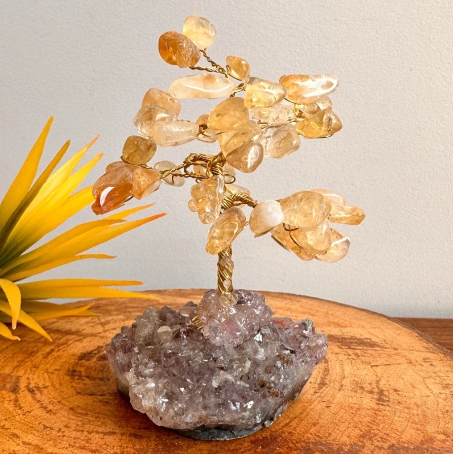 Árvore Pedra Citrino, Base Drusa De Ametista
