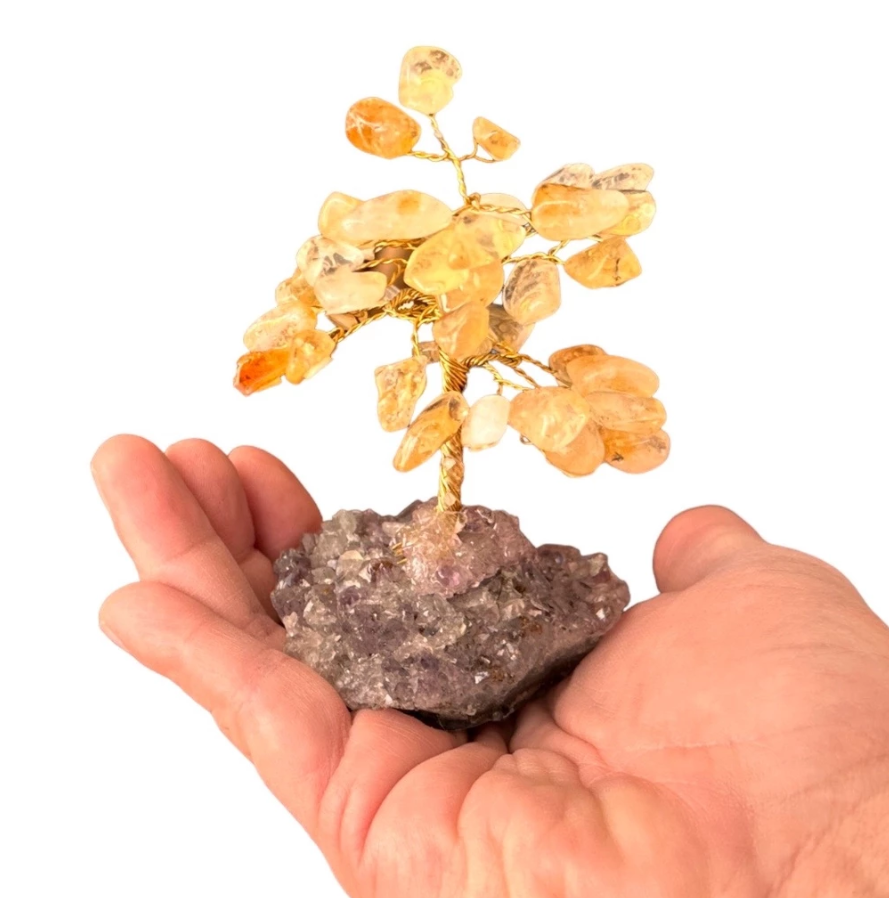 Árvore Pedra Citrino, Base Drusa De Ametista