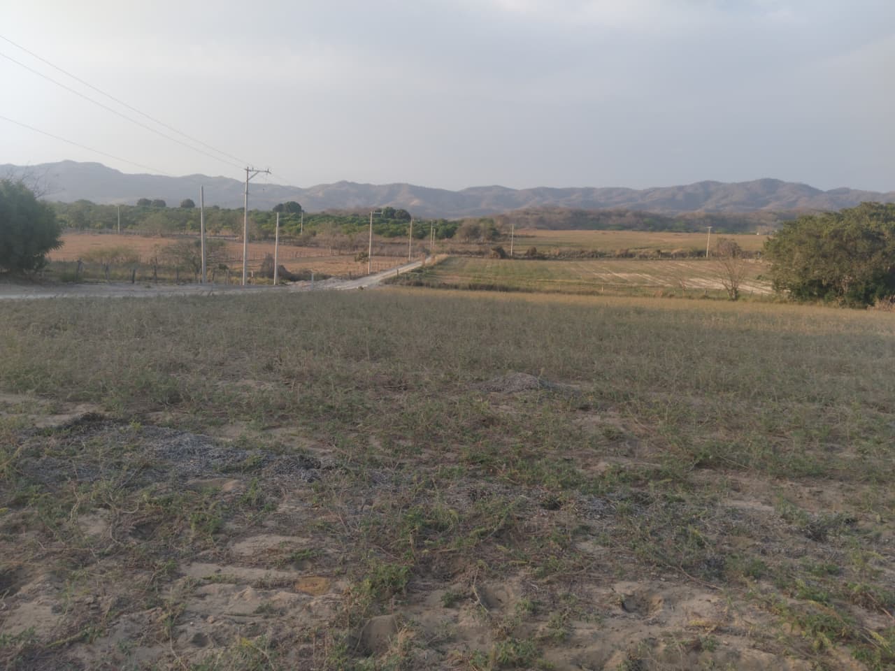 EN VENTA 7 HECTAREAS