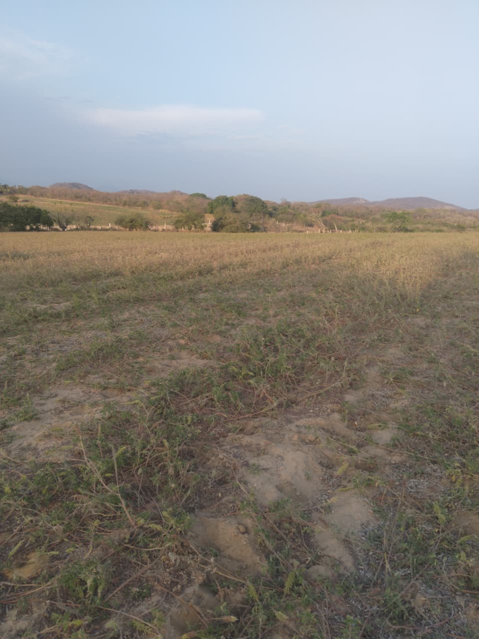 EN VENTA 7 HECTAREAS