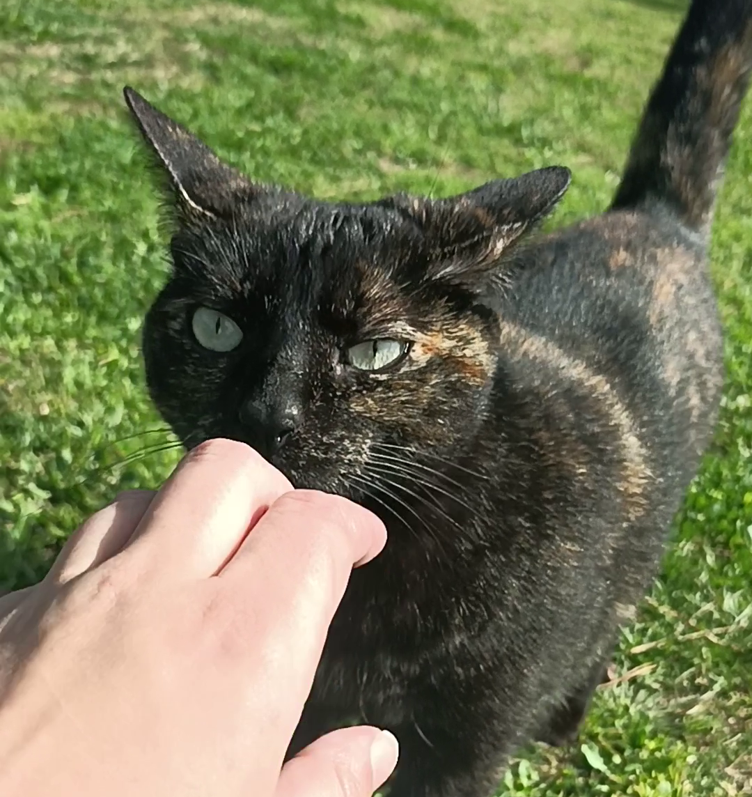 Renouer les liens - Accompagnement