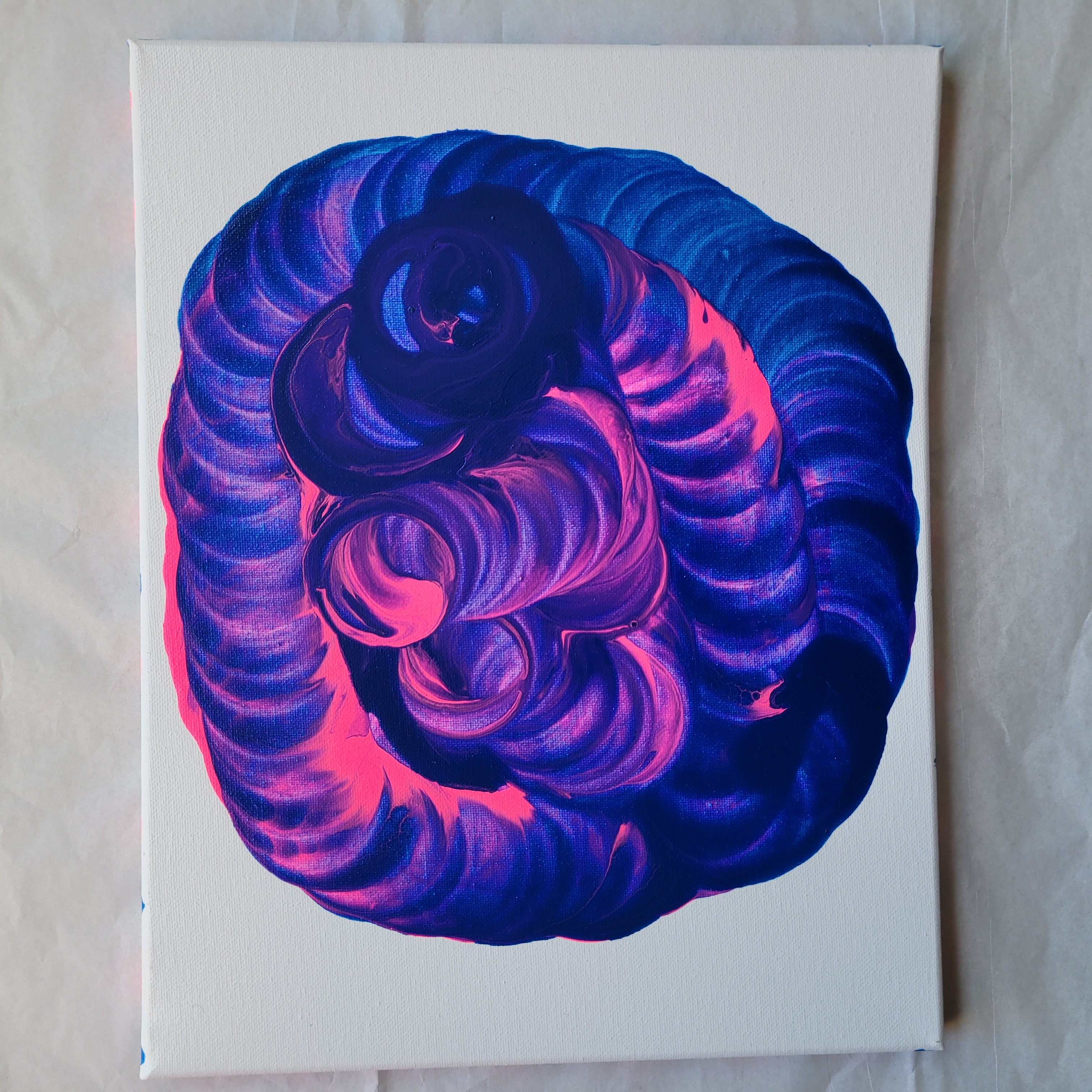 Blue and Pink Beauty 