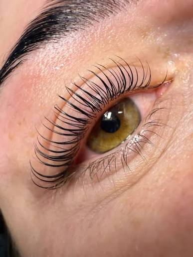 Korean Lash lift