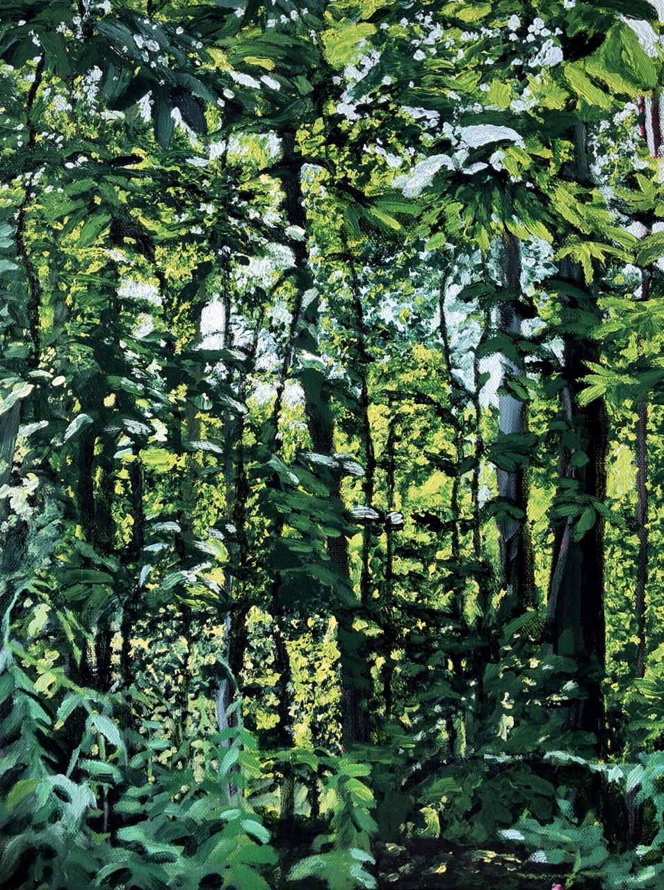 A Walk in Boxford II