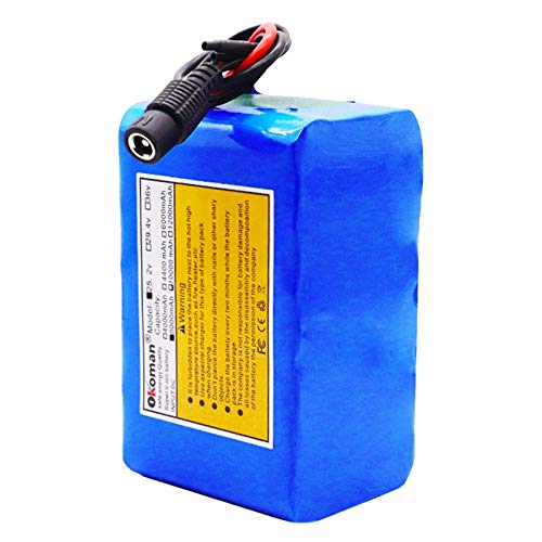 24 Volt rechargerable lithium battery and charger   