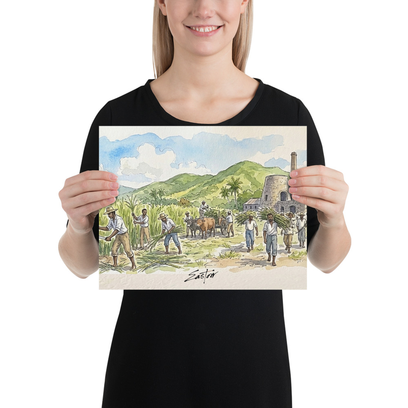 Sugar Plantation Art Print