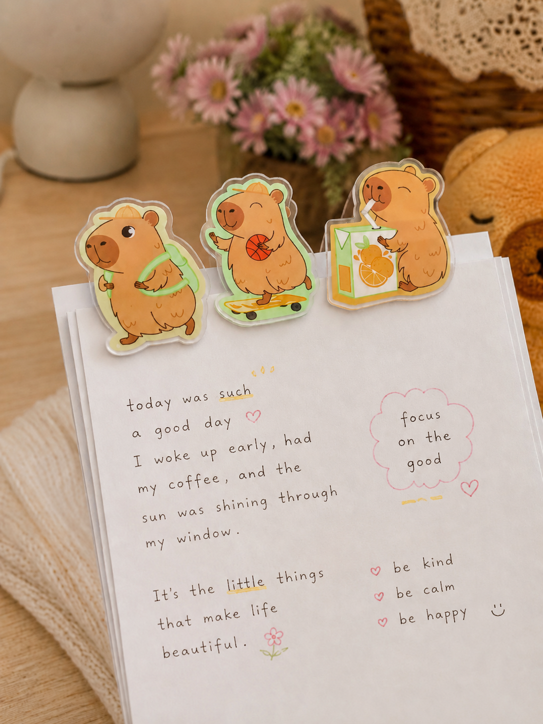 Capybara Treasure Box