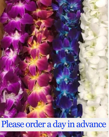 Double Dendrobium Leis