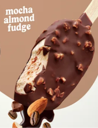 Mocha Almond Fudge Dairy-Free Ice Cream Bar
