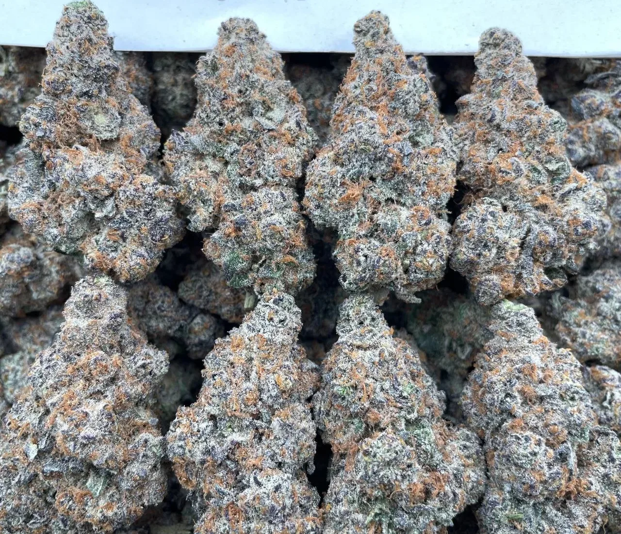 Peanut Butter Breath