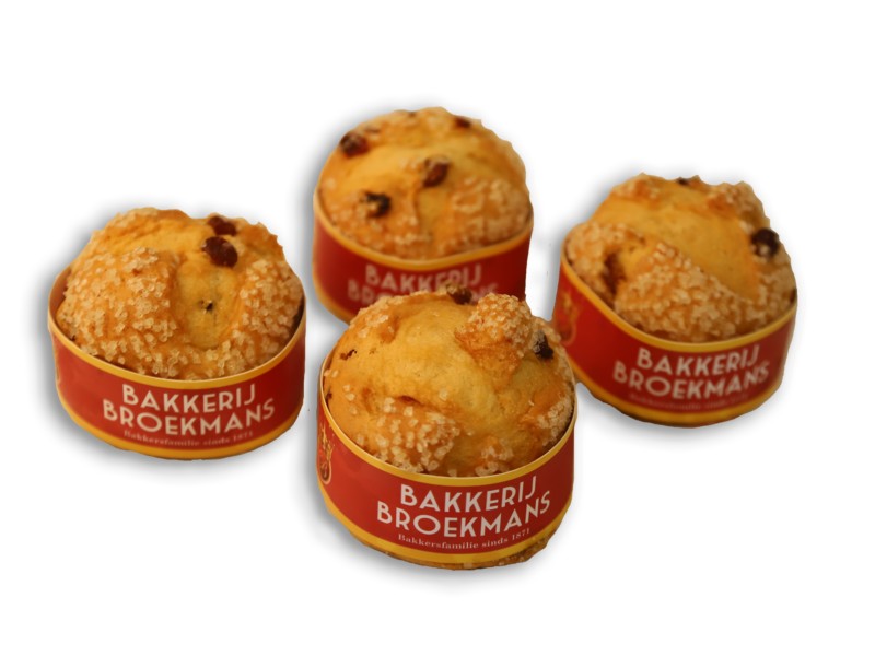 Mini kwarkbollen (4 stuks) 