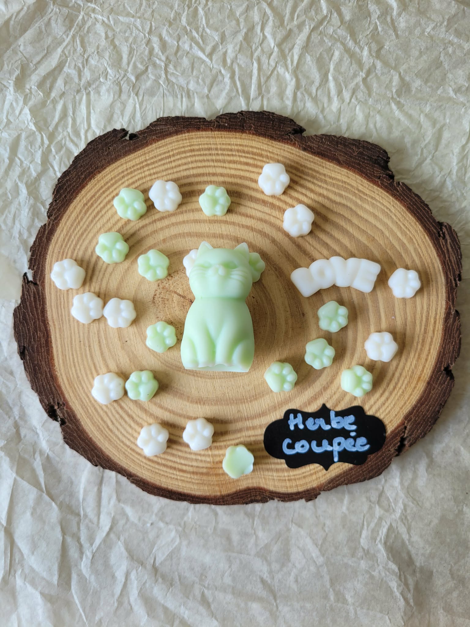 Fondant Cha'Chat et ses Minis Patounes 🐱🌿 Herbe Coupée – 22 g  Sous-titre :