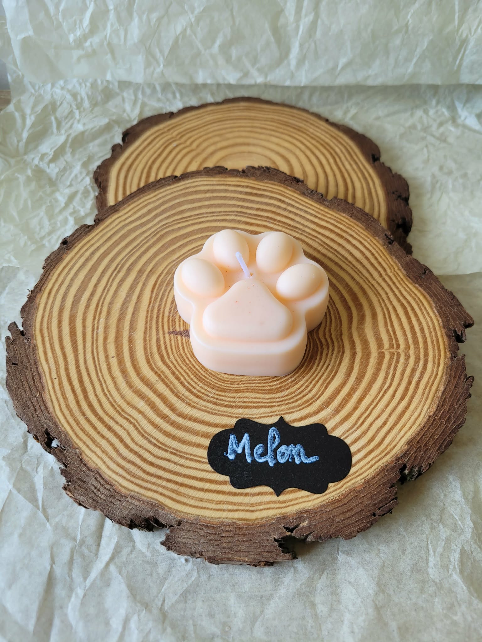 Fondant La Patoune de Cha'Chat 🐾 Melon 🍈 – 13 g