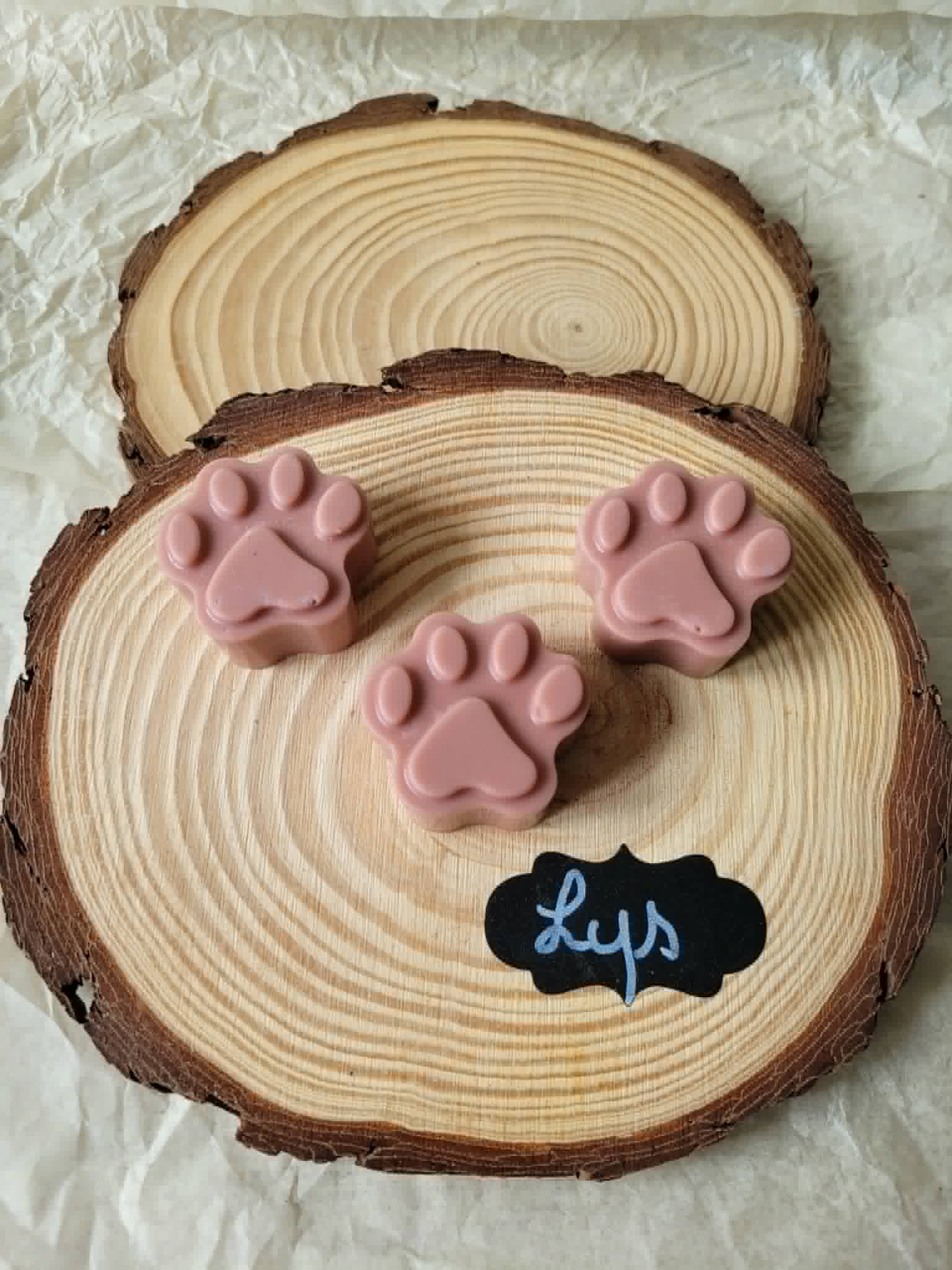 Fondants parfumés Les Patounes de Cha'Chat 🐾🐱⚜️ Fleur de Lys – 40g | Fabrication artisanale 