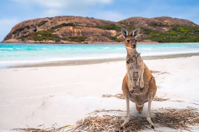 Votre voyage sur mesure en Australie