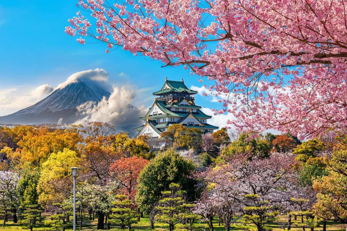 Votre voyage sur mesure au Japon