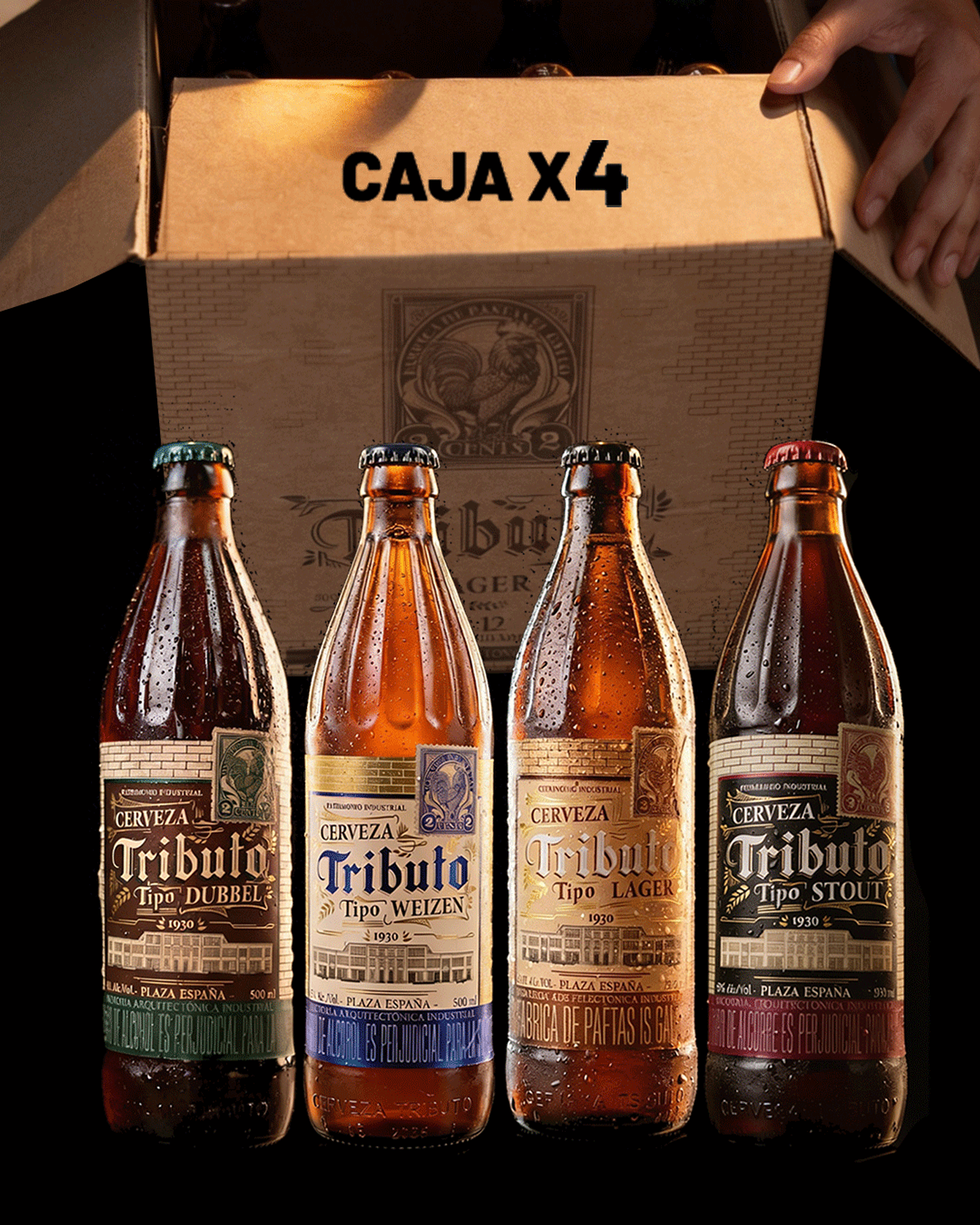 Caja x4 - Botellas surtidas
