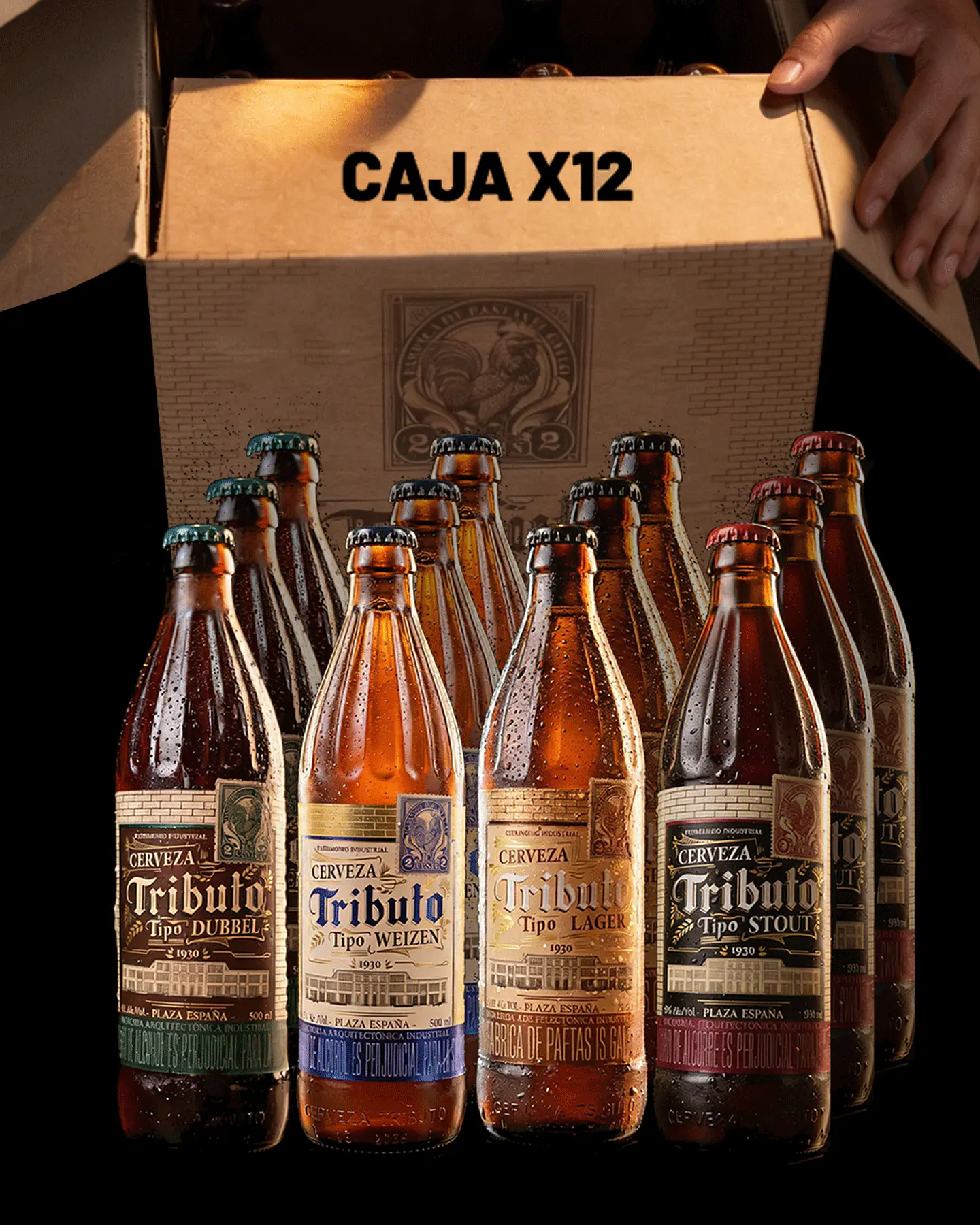 Caja x12 - Botellas surtidas