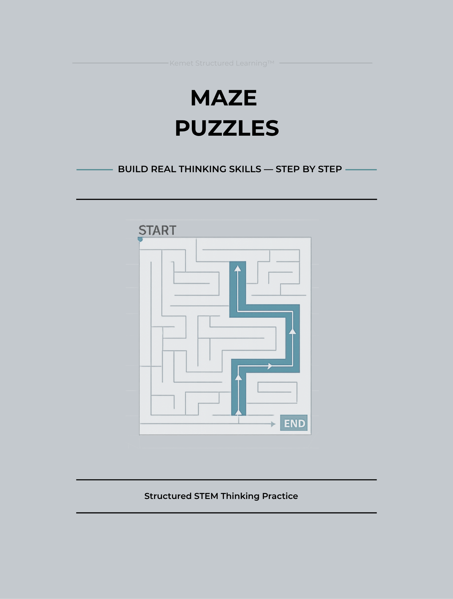 Maze Puzzles Book