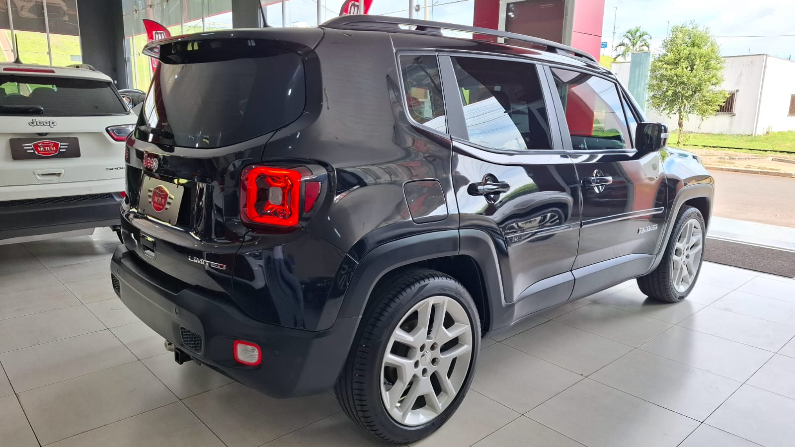 RENEGADE LIMITED