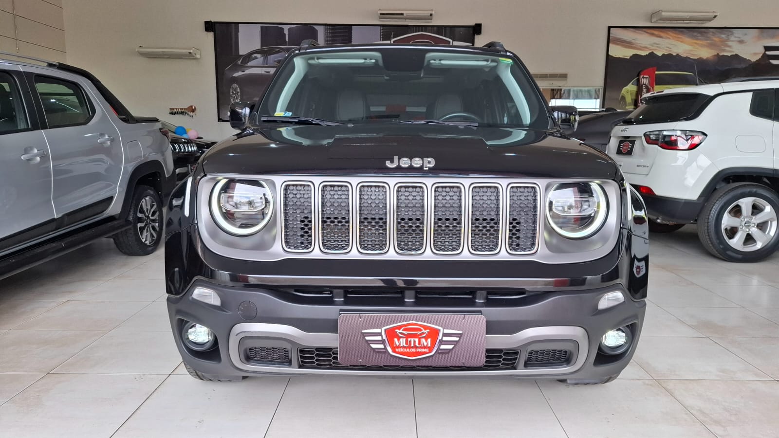 RENEGADE LIMITED