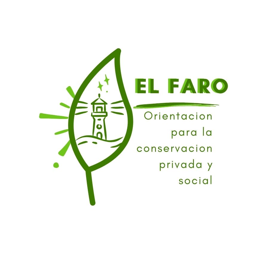 Diseño de Logotipo Básico