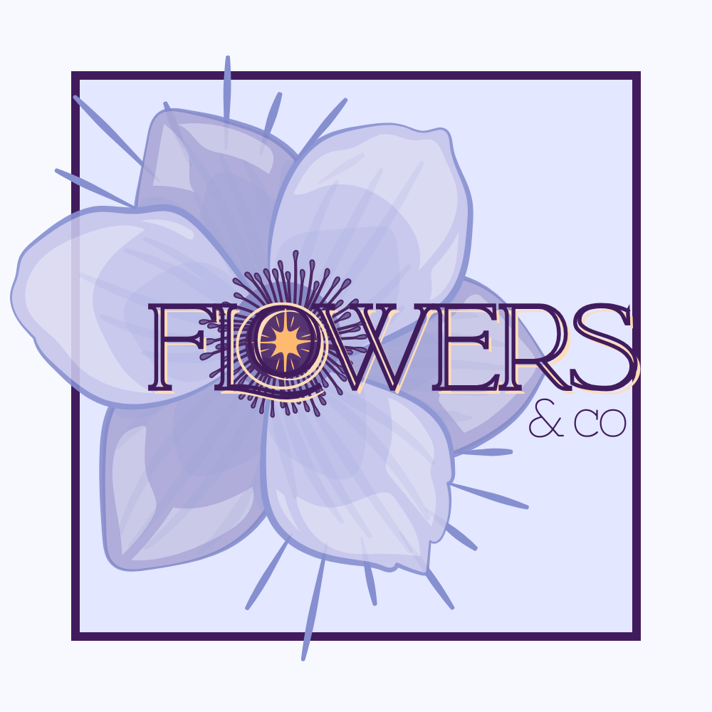 Diseño de Logotipo Básico
