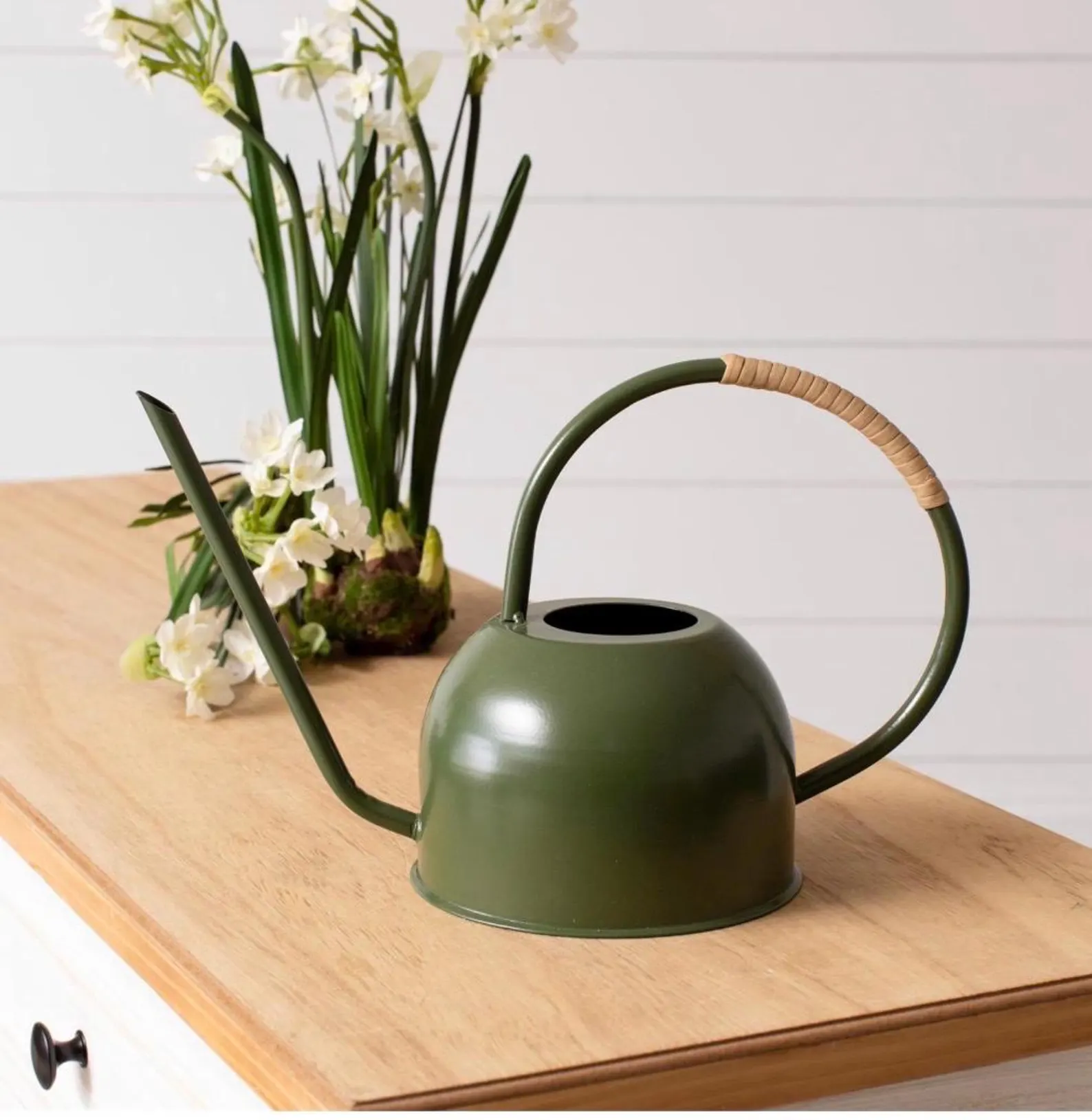 Modern Green Watering Can