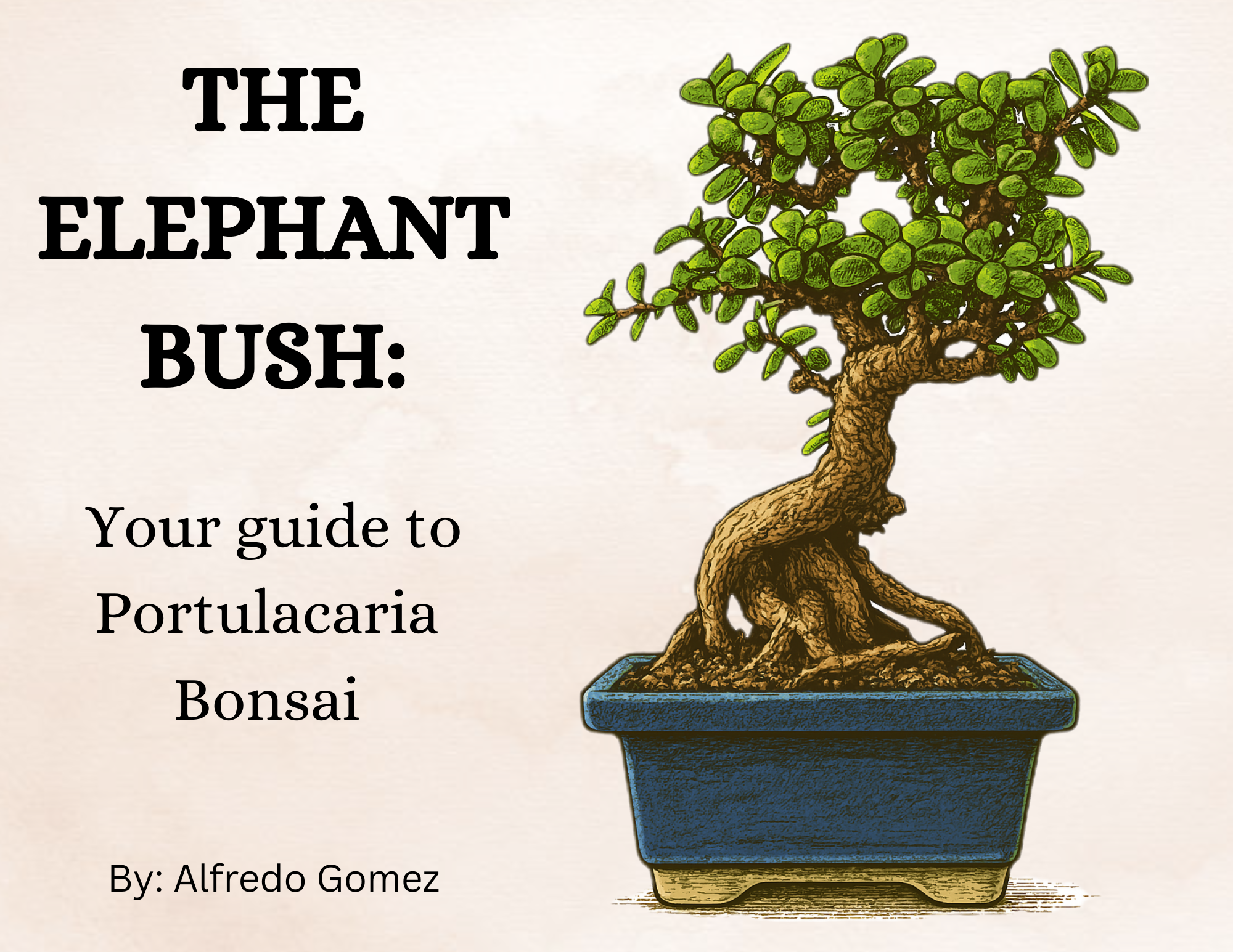 The Elephant Bush: Your guide to Portulacaria Bonsai E-Book