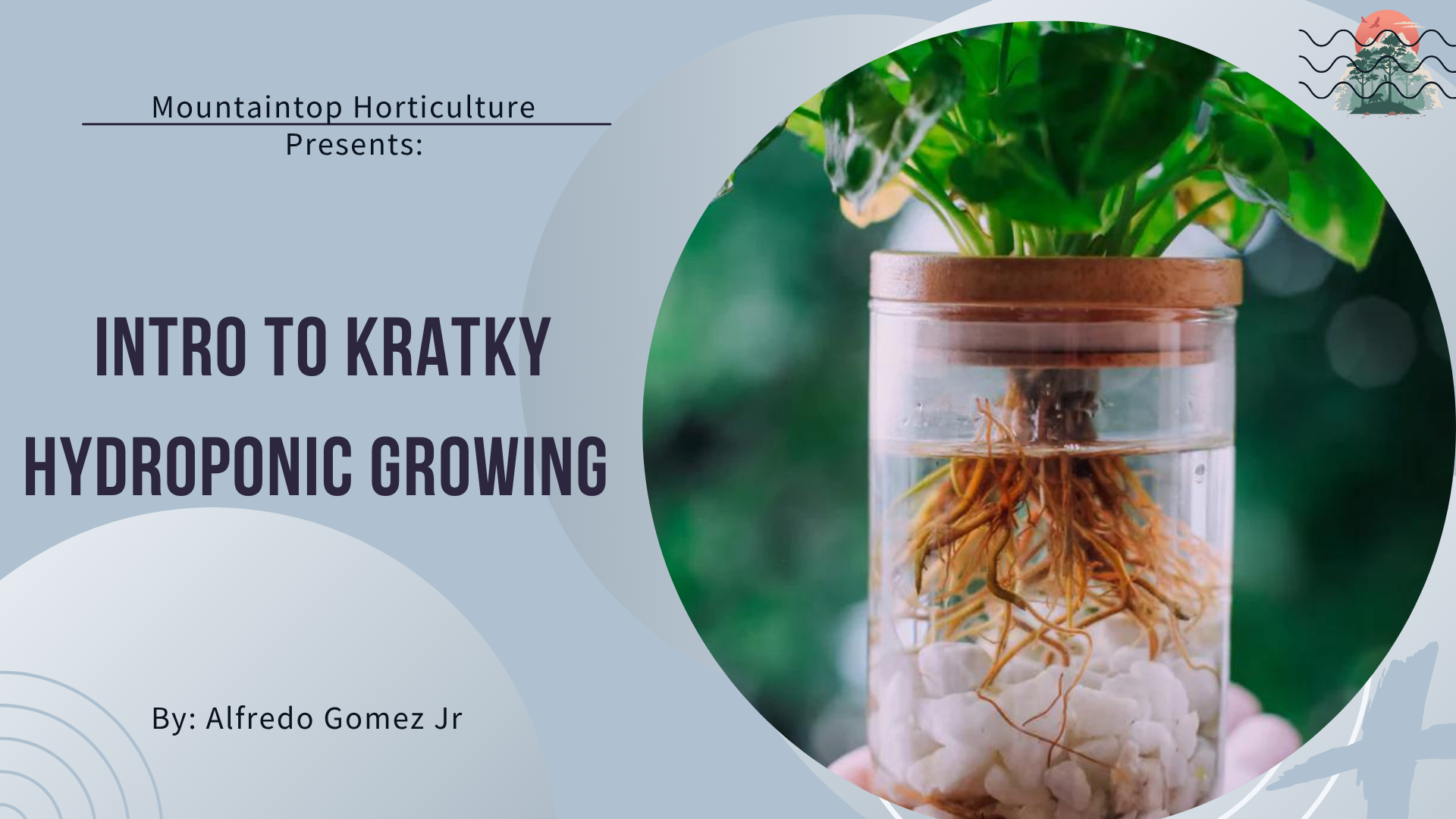 Intro to kratky hydroponics
