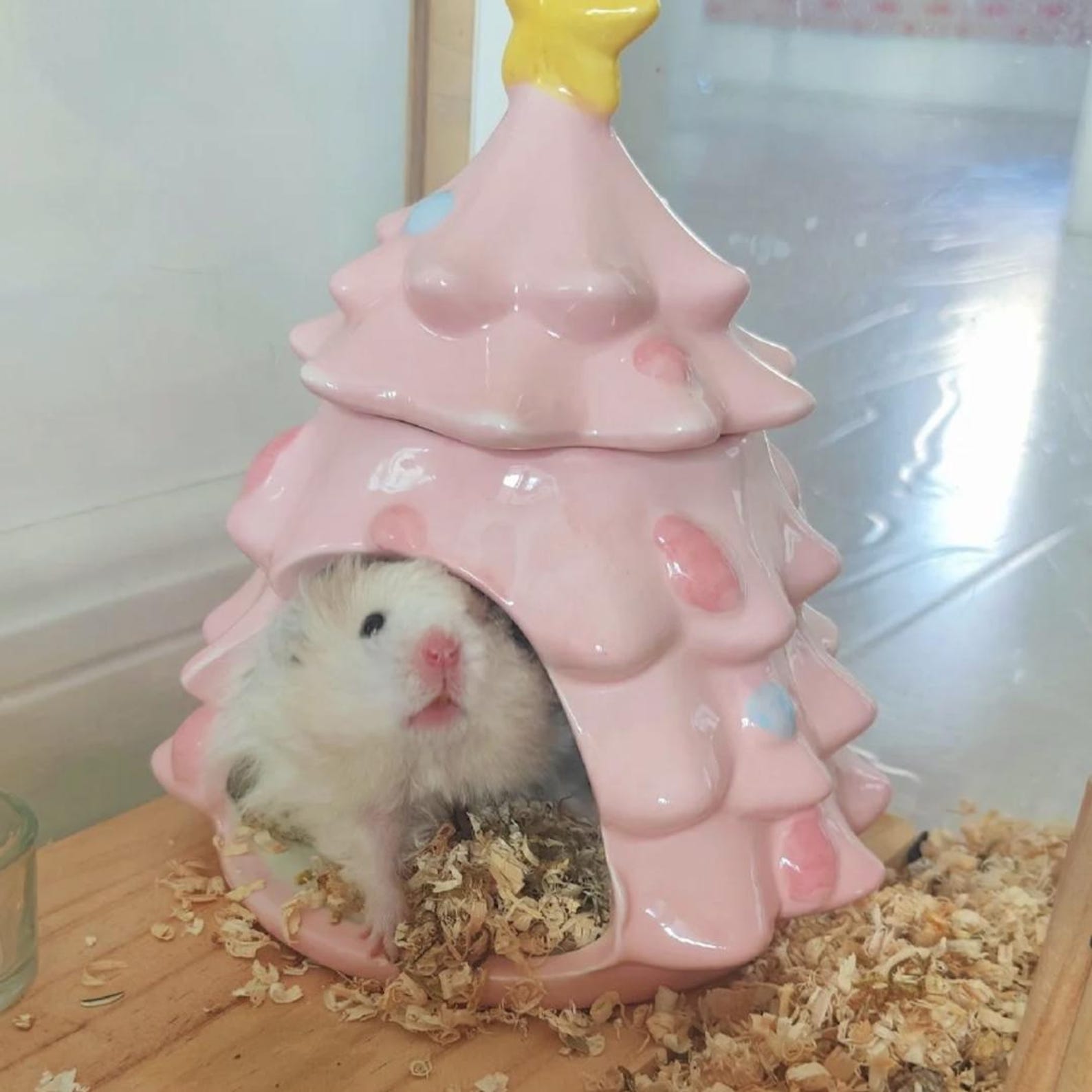 Small Animal Christmas Tree Hamster Hideout, Xmas Rat House, Ceramic Hideout for Small Pet, Christmas Gift Small animal hideouts