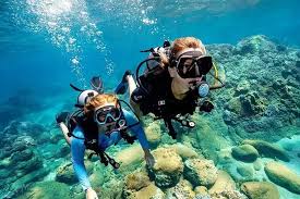 Diving Activites in Cham Island