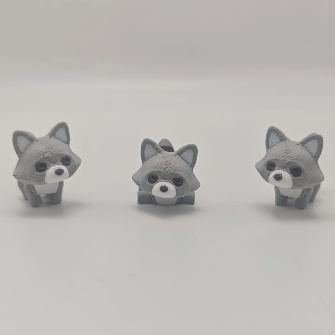 Beweglicher kleiner Waschbär