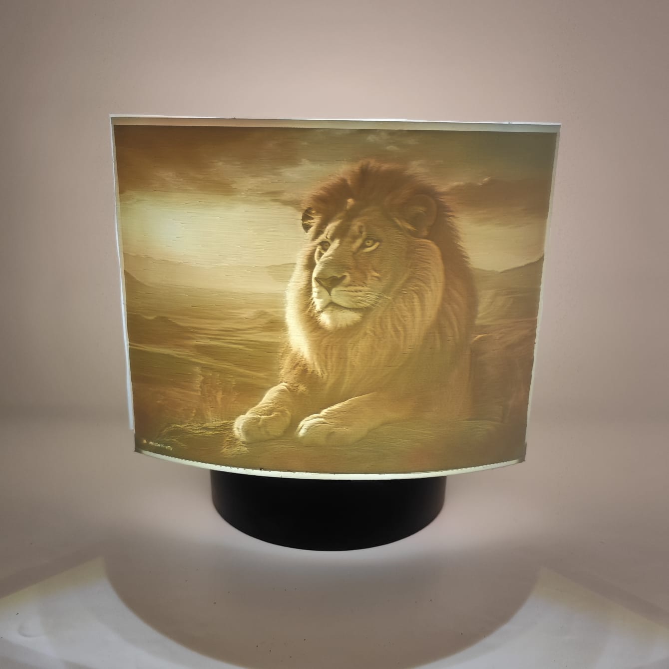 Lithophane