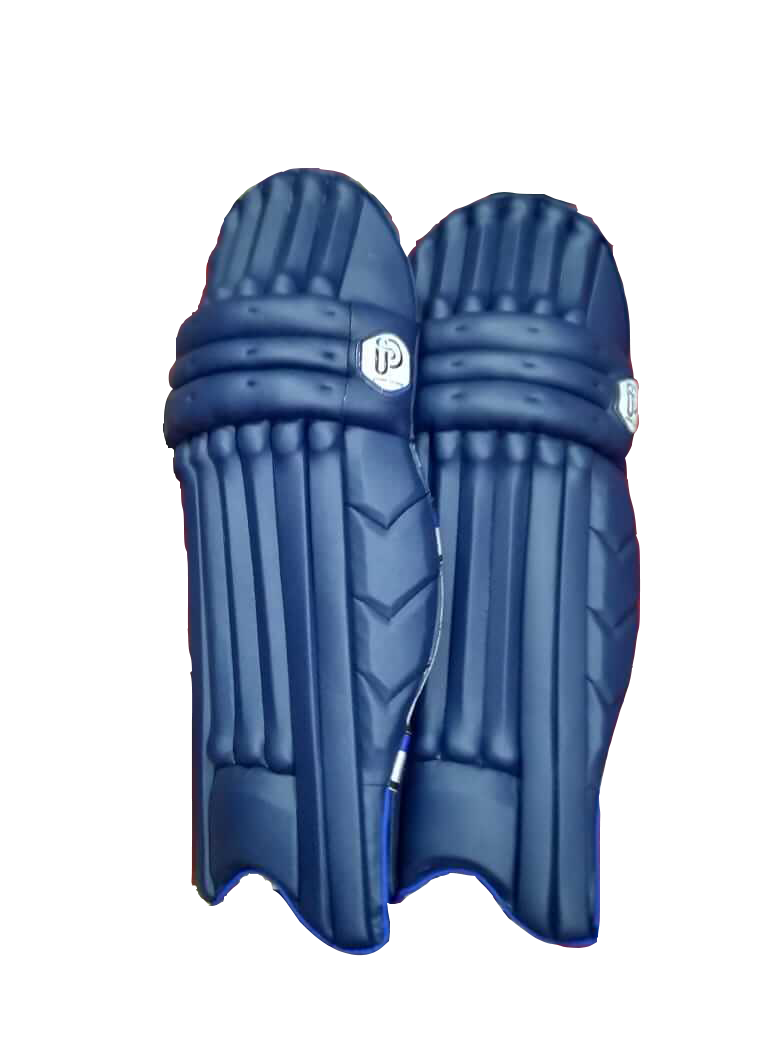 Professional Cricket Pads by MSL