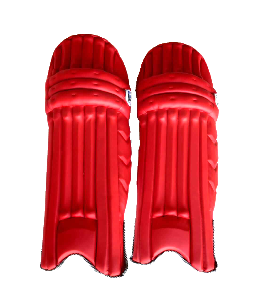 Professional Cricket Pads by MSL