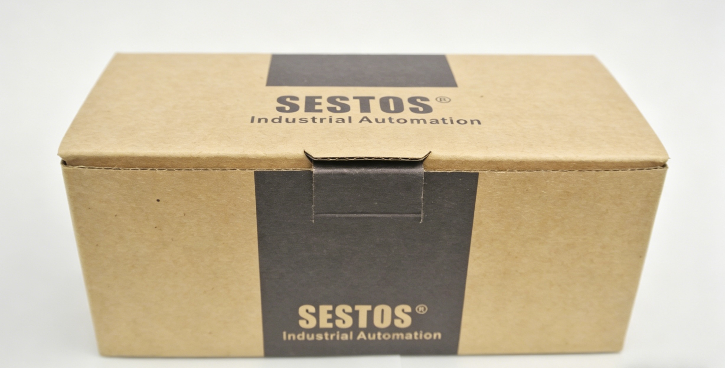 SESTOS D1S-2R-24 Digital PID Temperature Controller, AC/DC 12-24V, -50 to 1300℃, Multi Sensor Input K J PT100, Relay Output Alarm